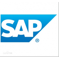 温州sap系统代理商 温州sap b1实施公司 选择达策