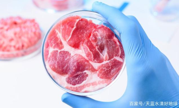 微信截图_20191009111809