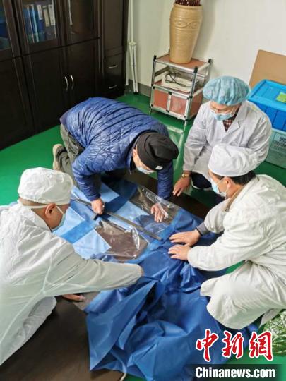 医院组织多学科专家对该项目进行专业分析和可行性评估，并改进细节。上海九院供图