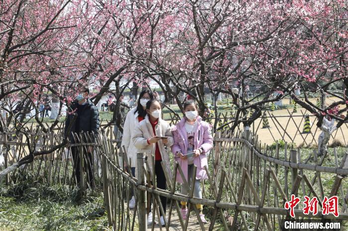 图为市民游客戴着口罩在西湖边赏花 王伟臣 摄