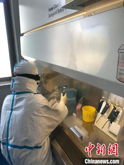 吕梁市的病毒标本检测均出自吕梁市疾病预防控制中心检验科张慧变。受访者供图