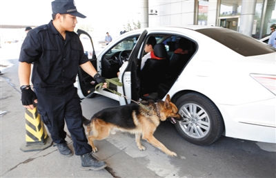 一警察正在查看进京车辆后备厢的物品。